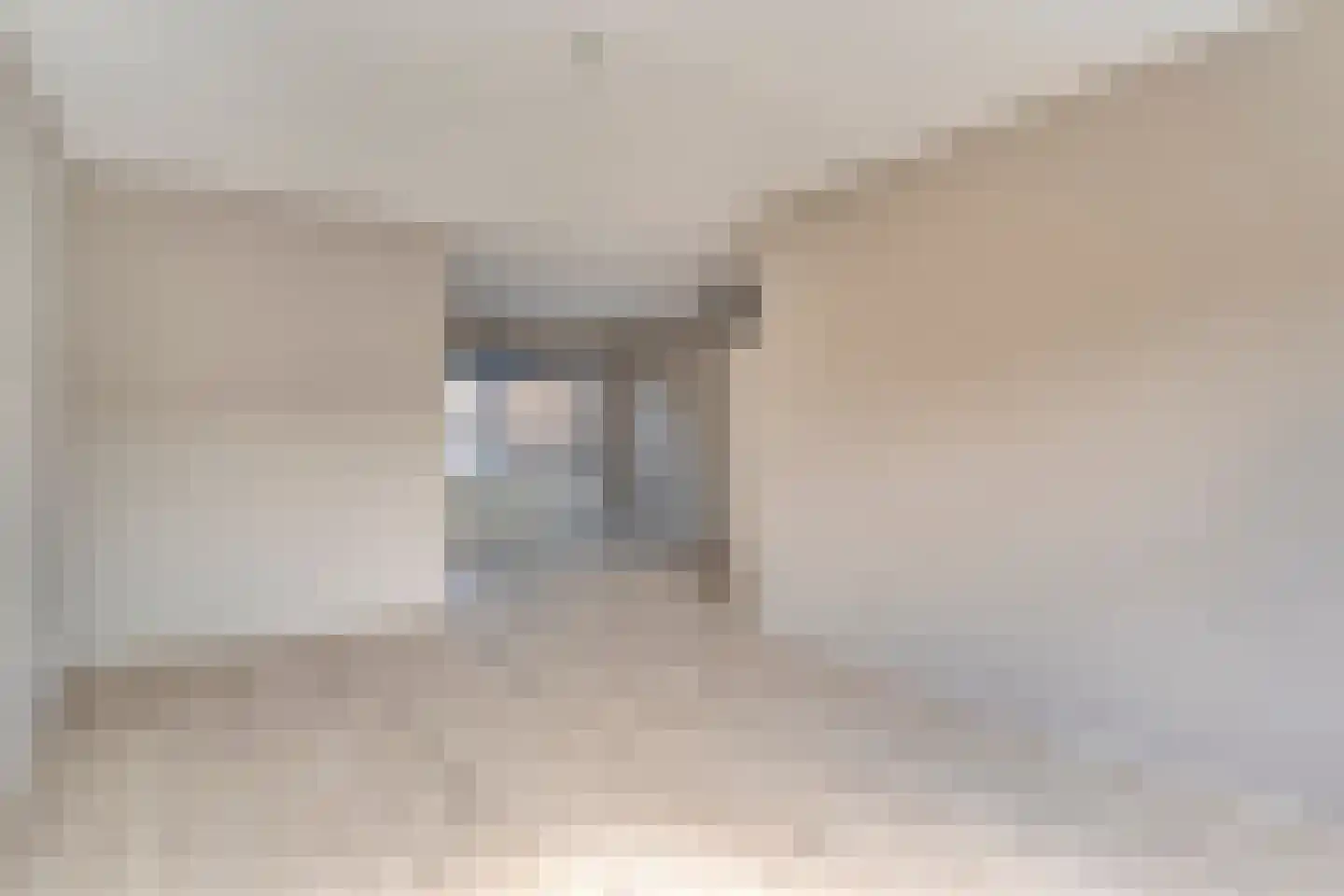 Bonte Kraai 10 Emmen thumbnail 12