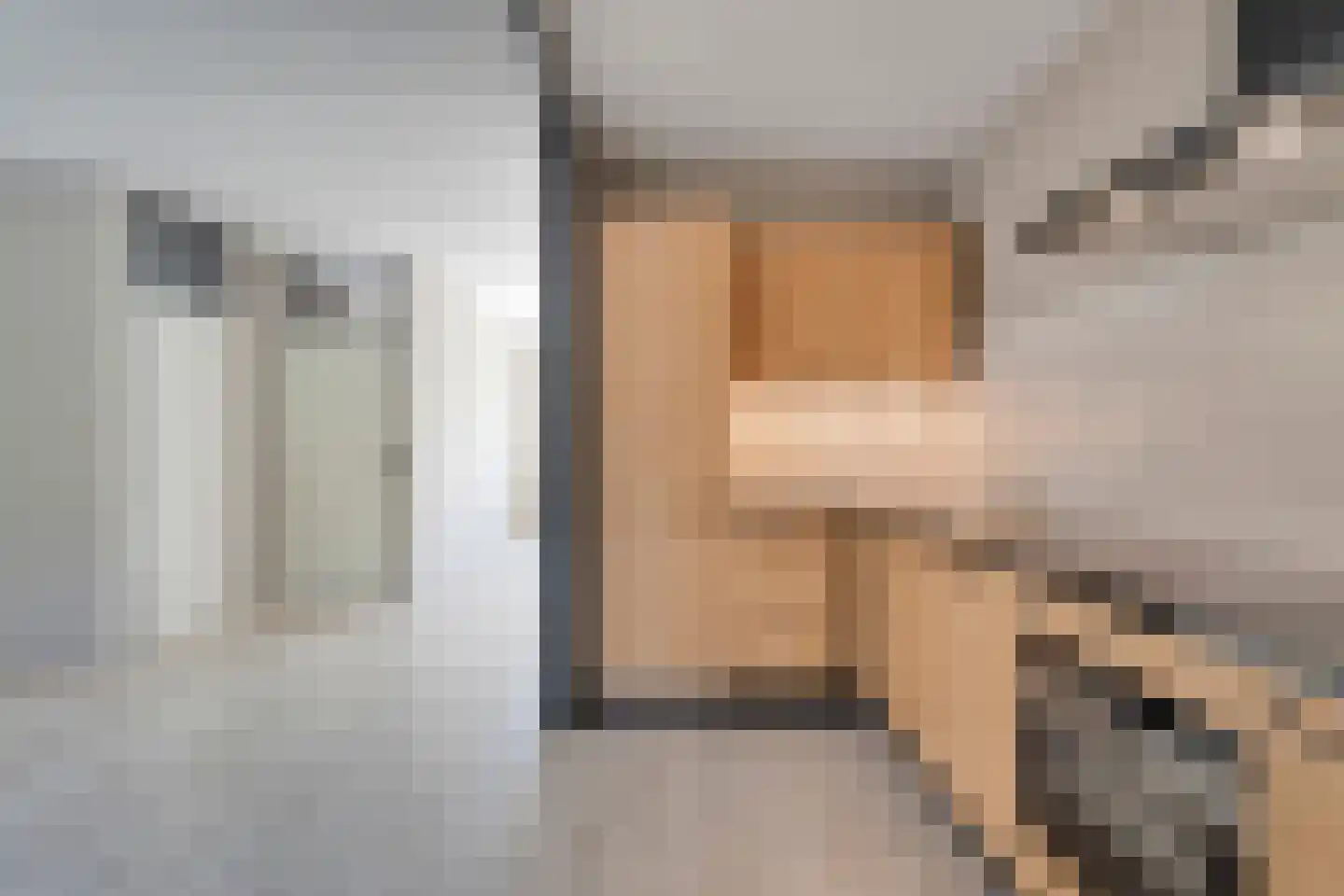 Bonte Kraai 10 Emmen thumbnail 15