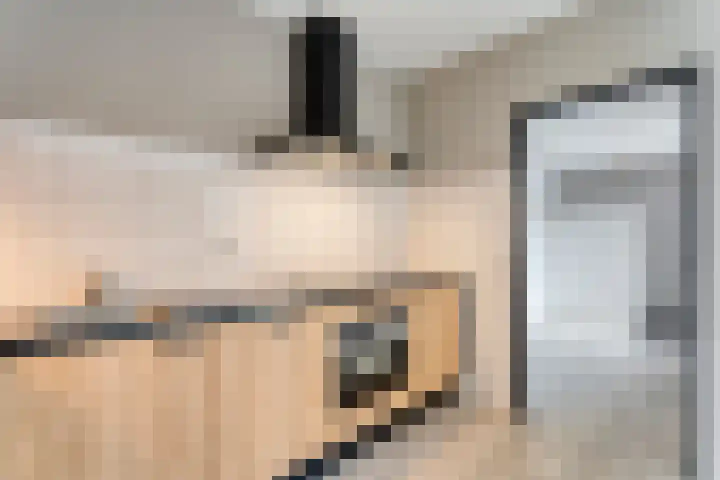 Bonte Kraai 10 Emmen thumbnail 16