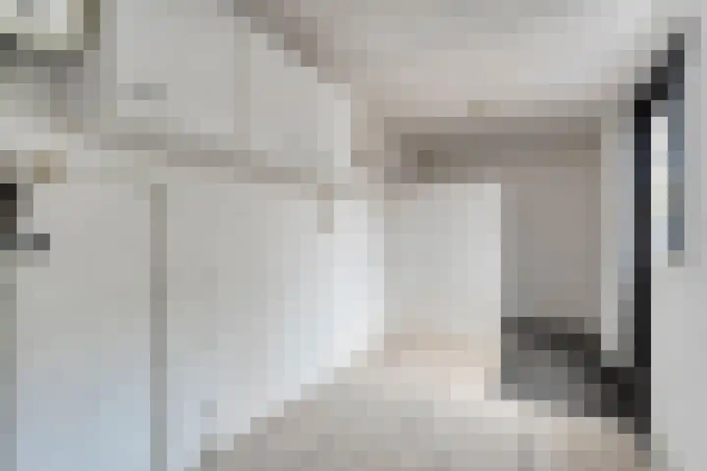 Bonte Kraai 10 Emmen thumbnail 17