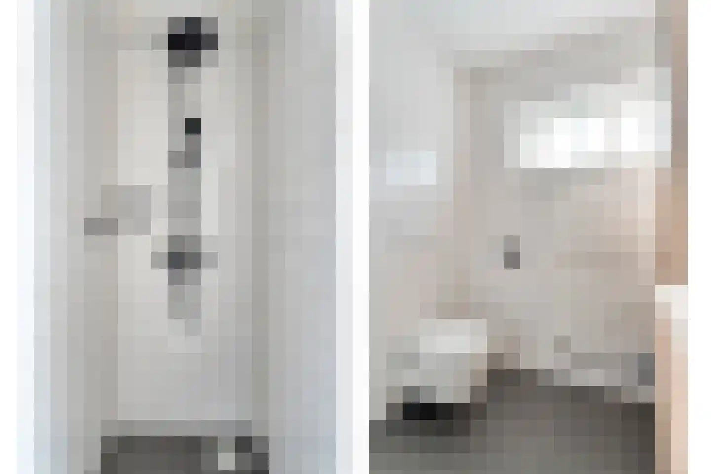 Bonte Kraai 10 Emmen thumbnail 27