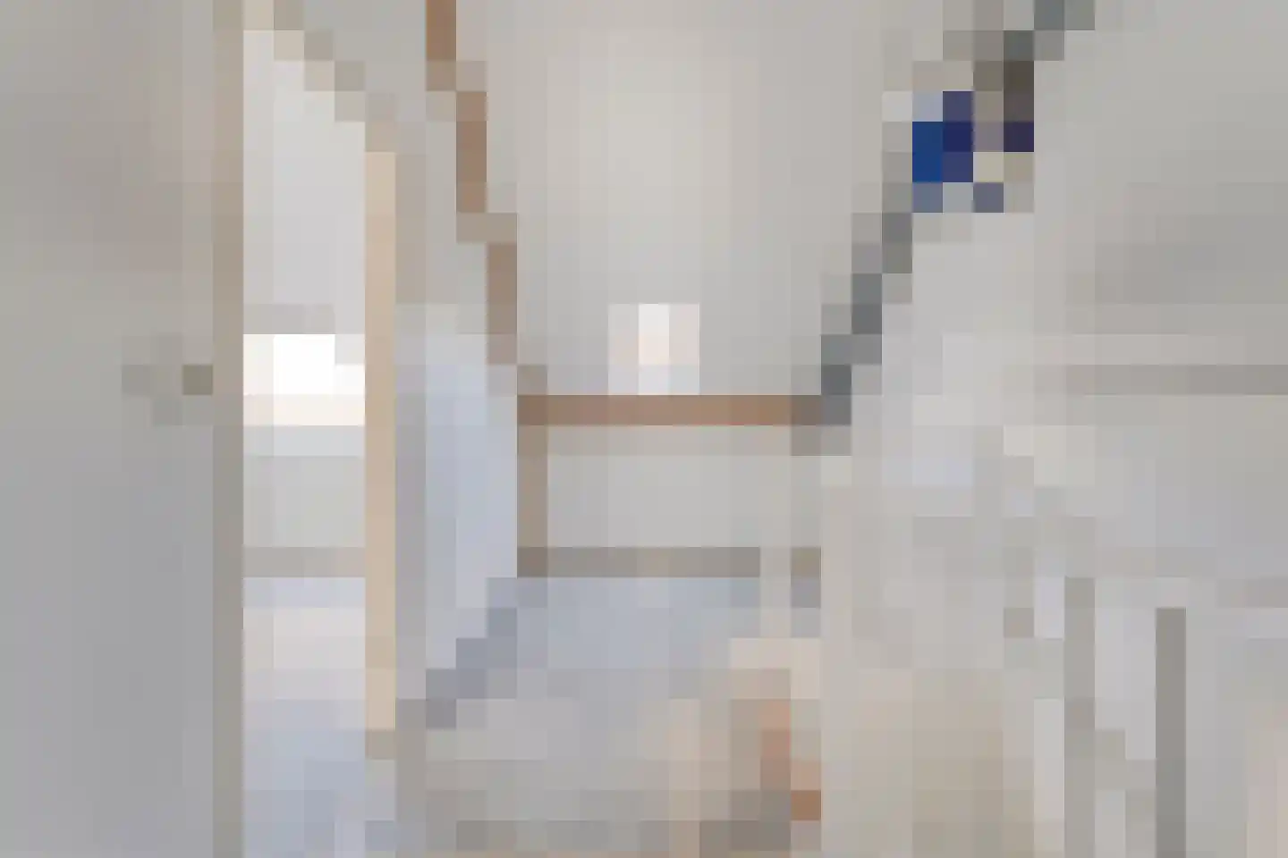 Bonte Kraai 10 Emmen thumbnail 31