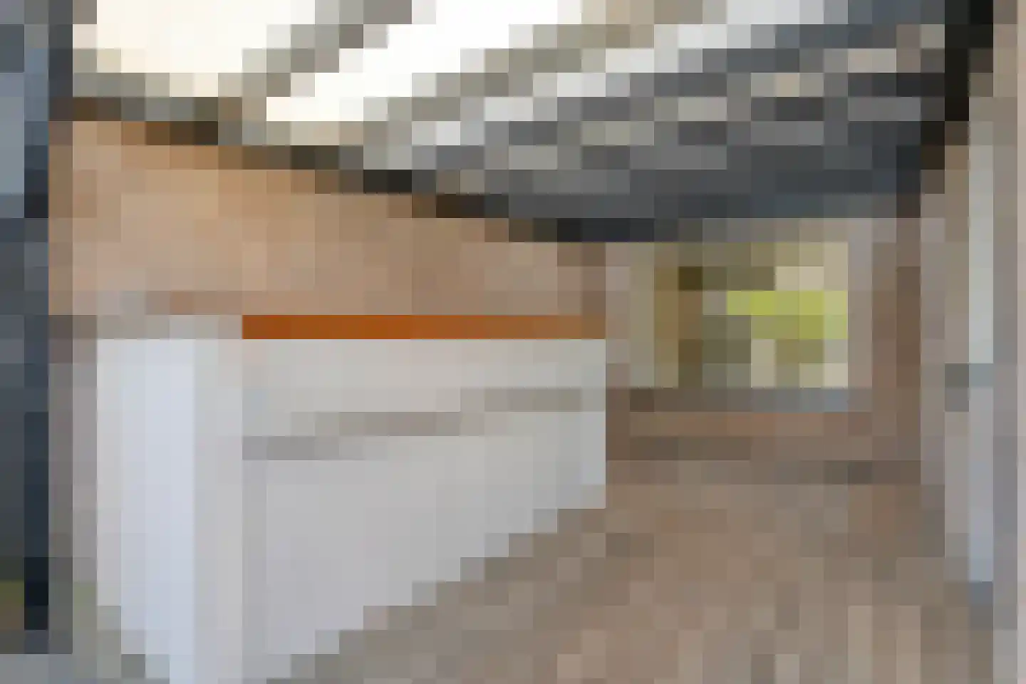 Bonte Kraai 10 Emmen thumbnail 34