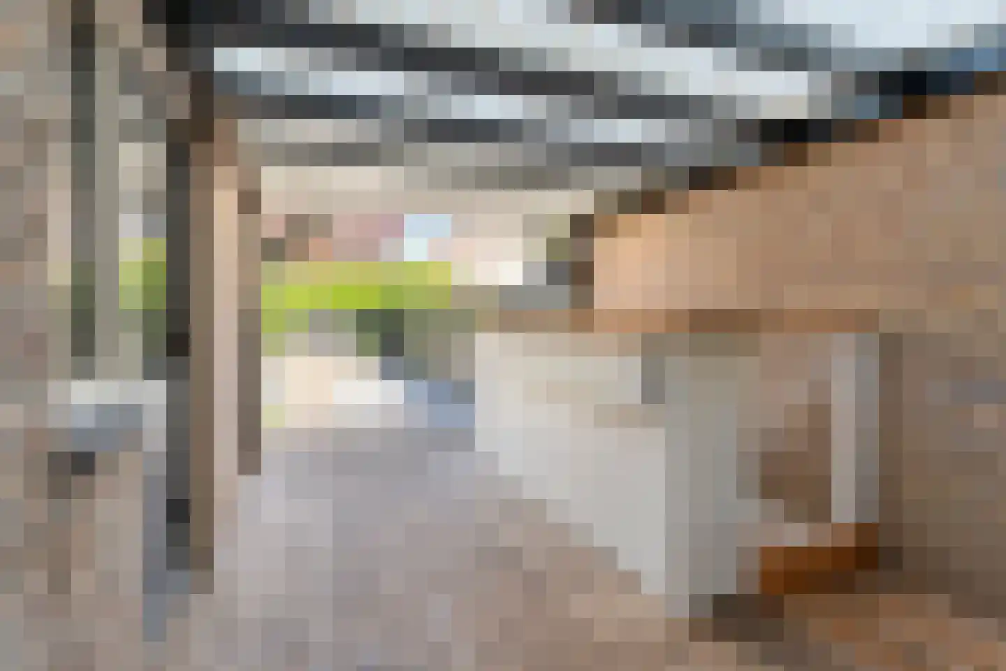 Bonte Kraai 10 Emmen thumbnail 35