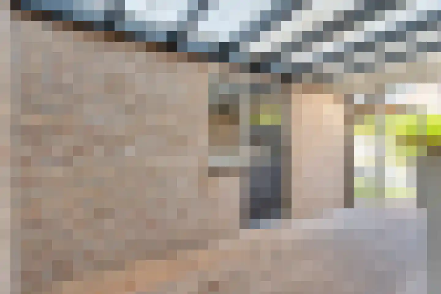 Bonte Kraai 10 Emmen thumbnail 36