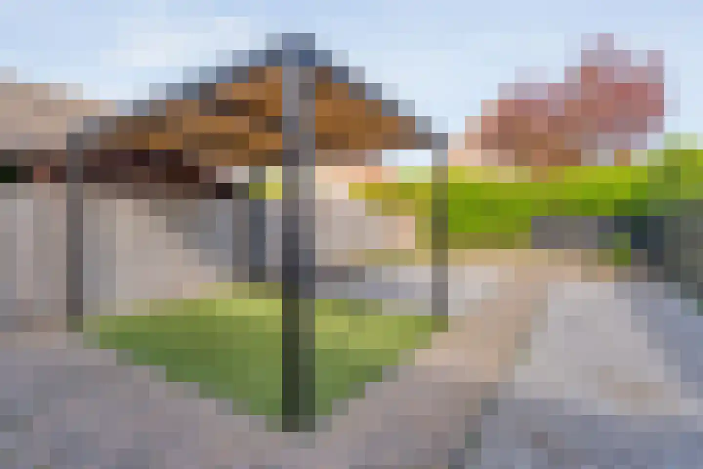 Bonte Kraai 10 Emmen thumbnail 37