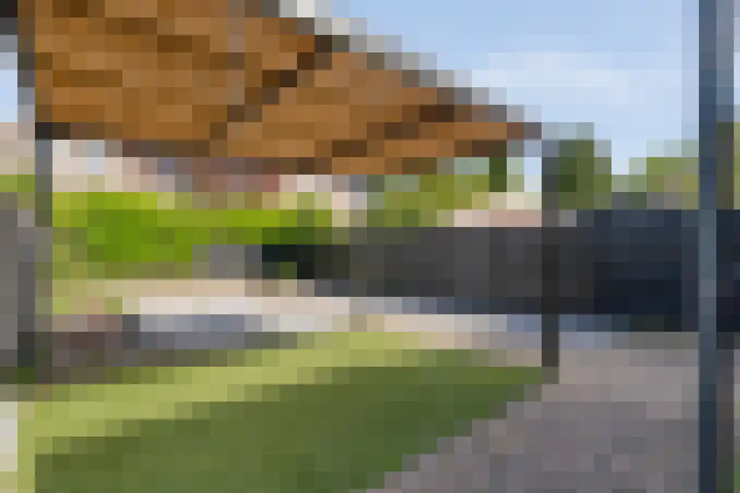 Bonte Kraai 10 Emmen thumbnail 40
