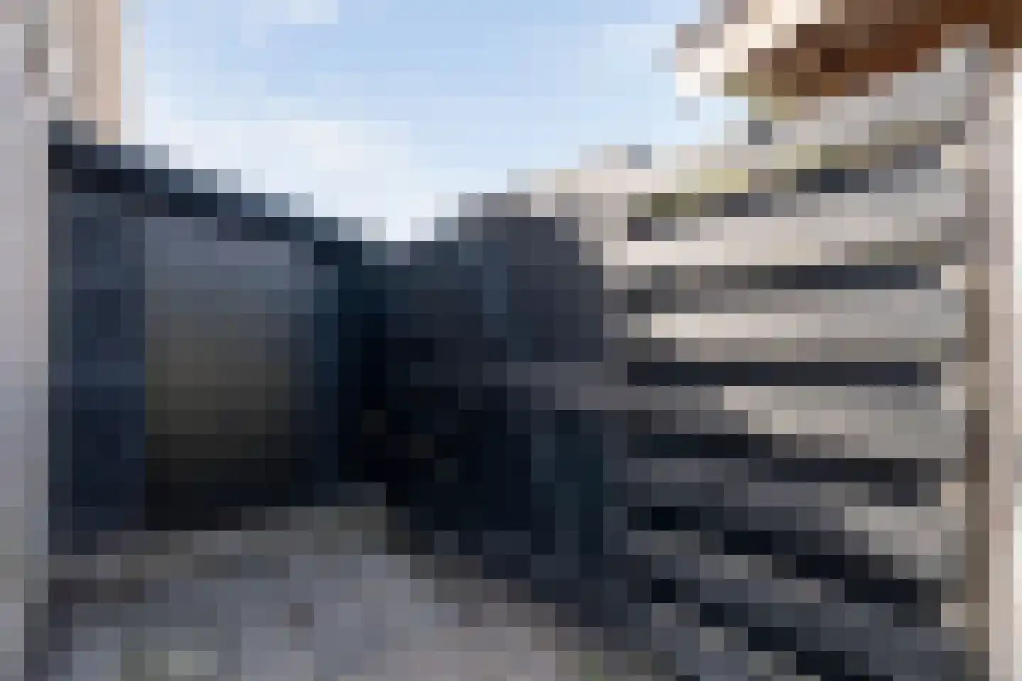 Bonte Kraai 10 Emmen thumbnail 41
