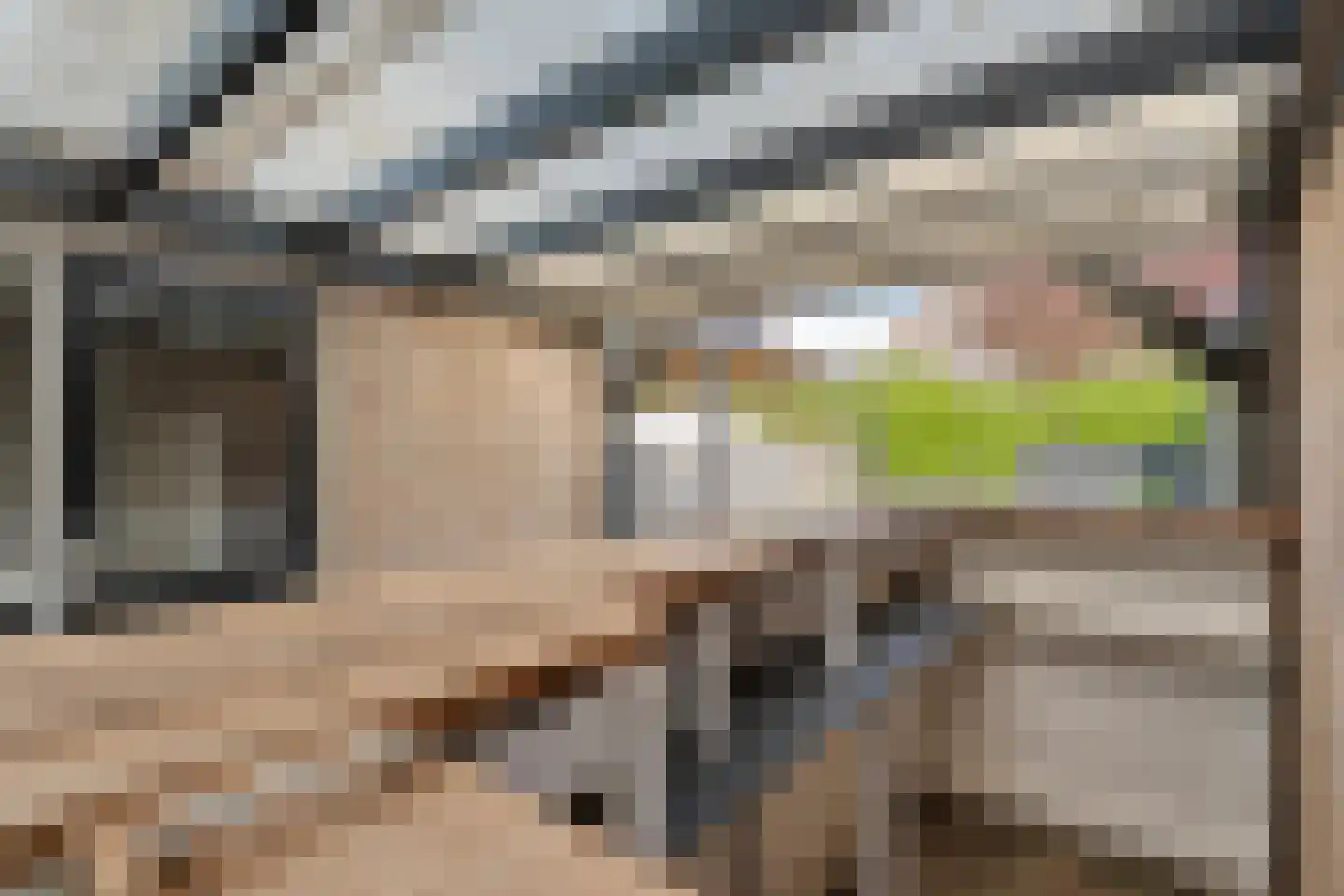 Bonte Kraai 10 Emmen thumbnail 42