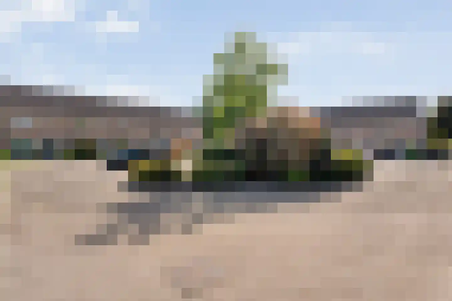 Bonte Kraai 10 Emmen thumbnail 5