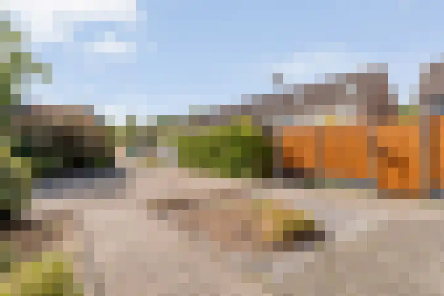 Bonte Kraai 10 Emmen thumbnail 6