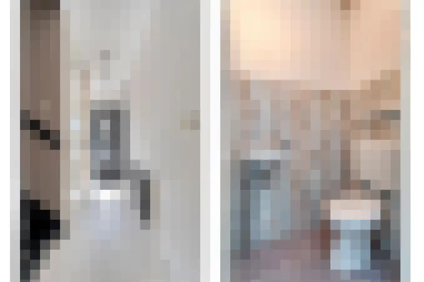 Bonte Kraai 10 Emmen thumbnail 7