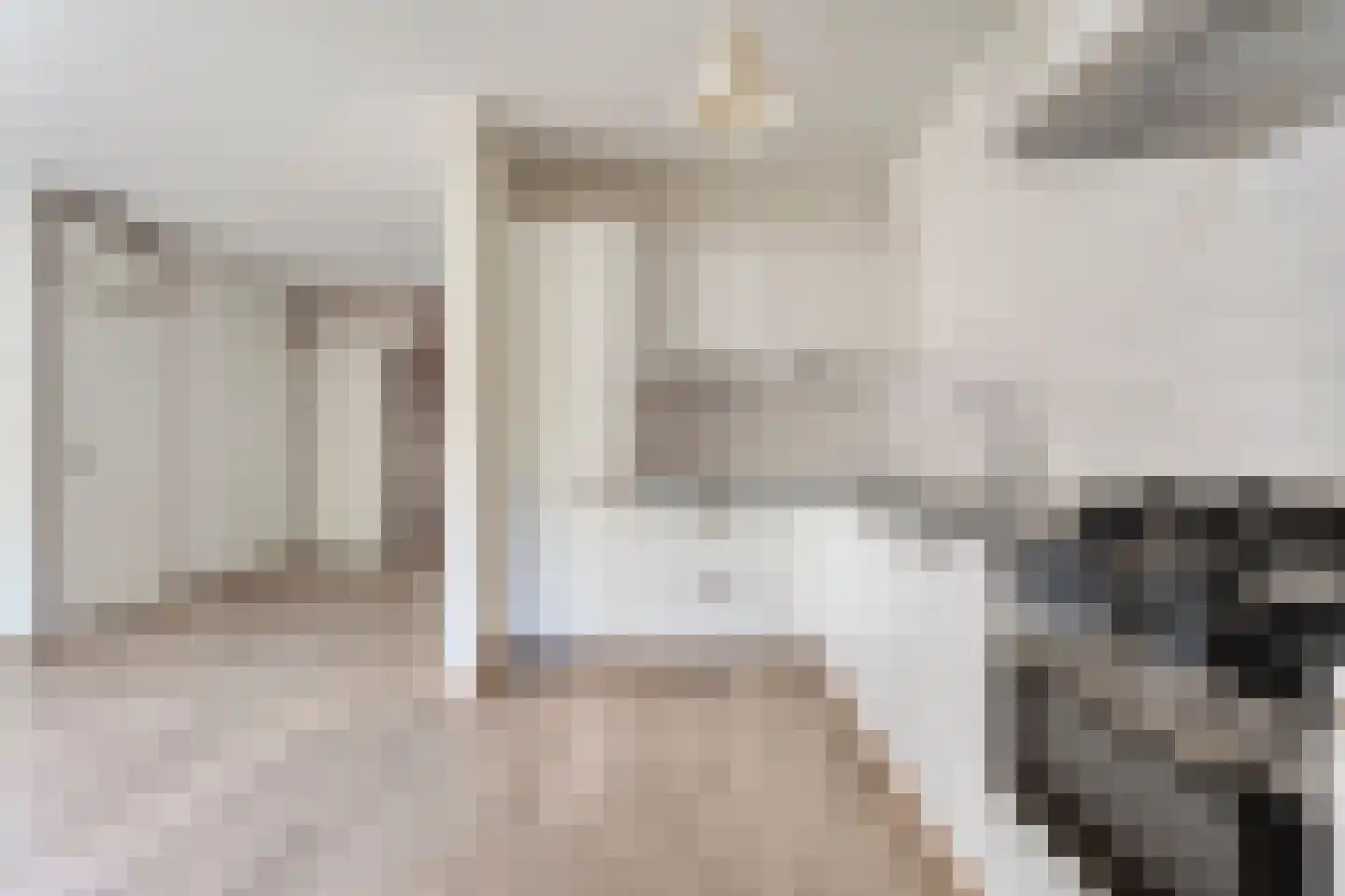 Bonte Kraai 21 Emmen thumbnail 10
