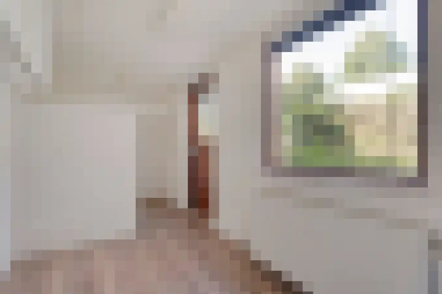 Bonte Kraai 21 Emmen thumbnail 11