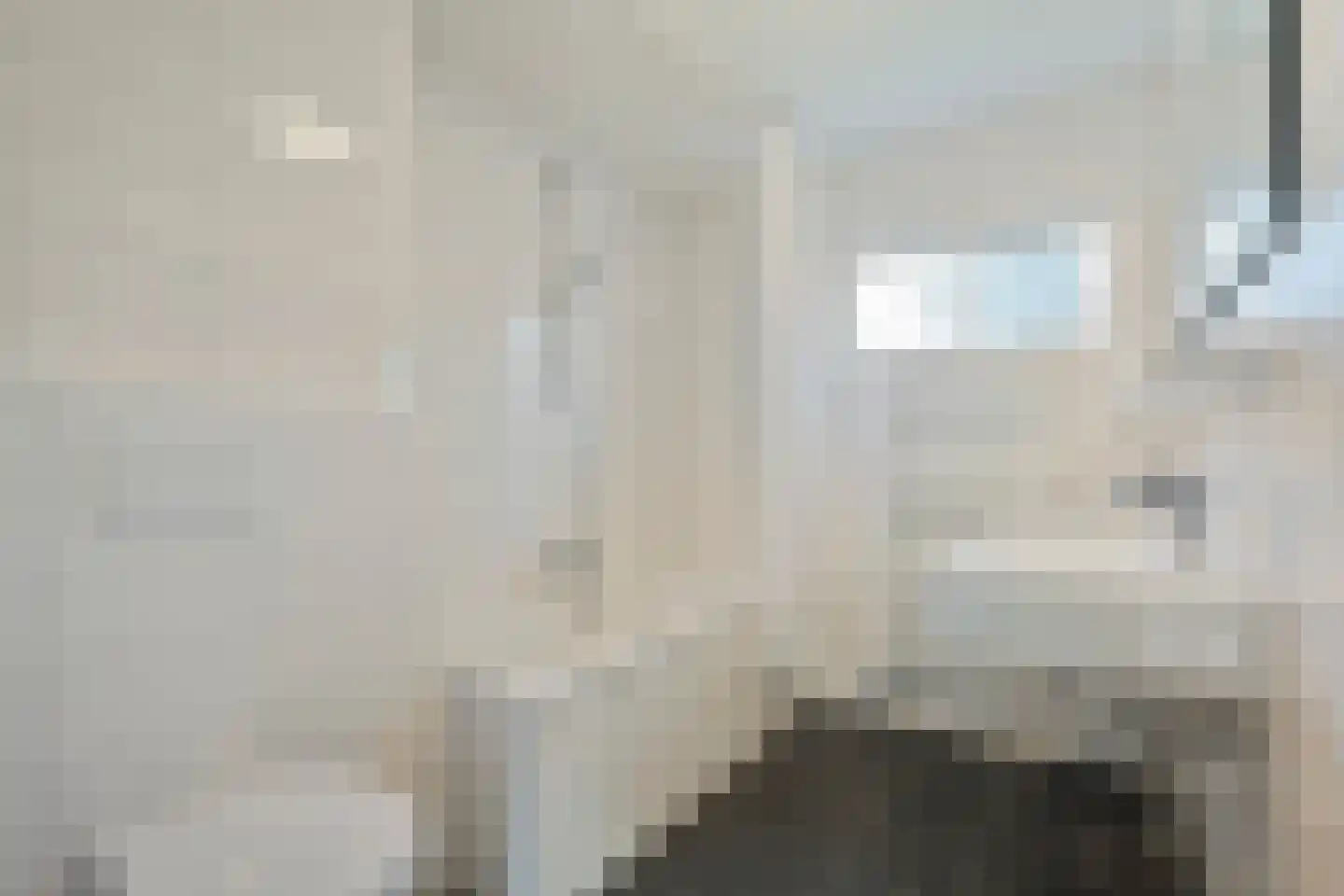 Bonte Kraai 21 Emmen thumbnail 16