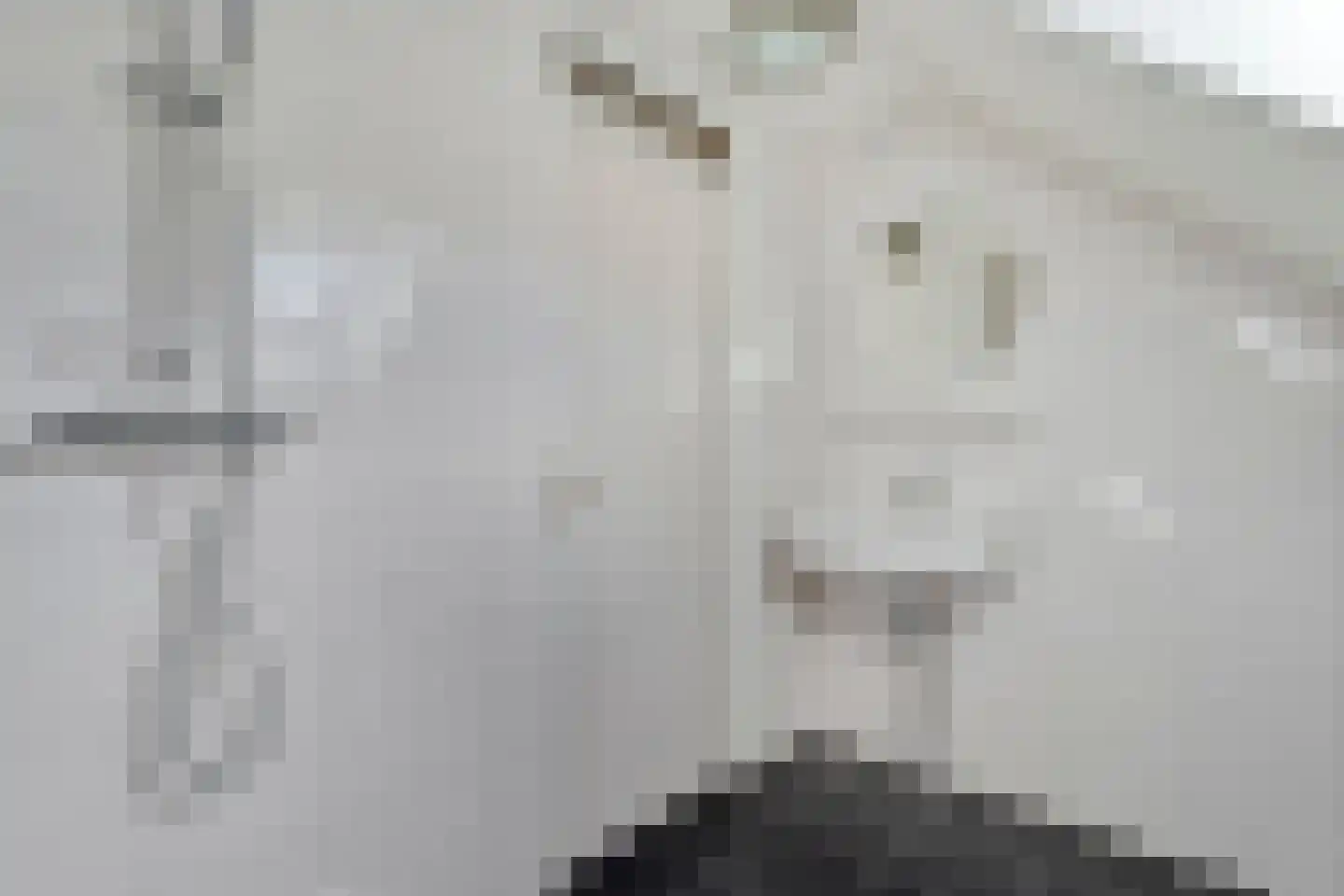 Bonte Kraai 21 Emmen thumbnail 19
