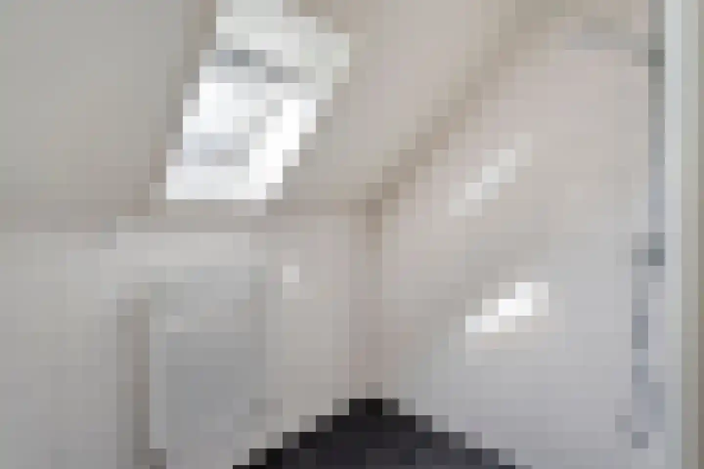 Bonte Kraai 21 Emmen thumbnail 20