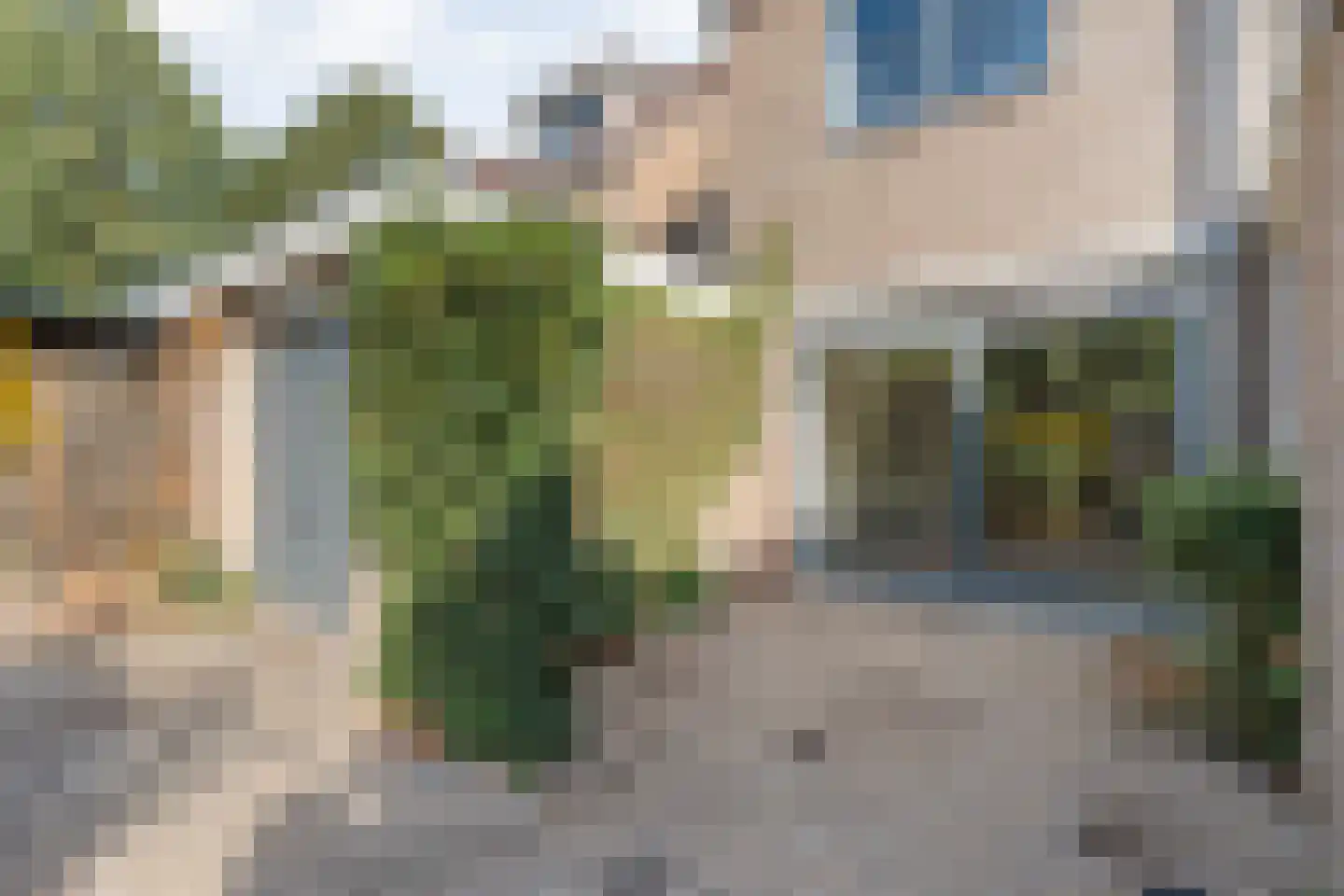 Bonte Kraai 21 Emmen thumbnail 21