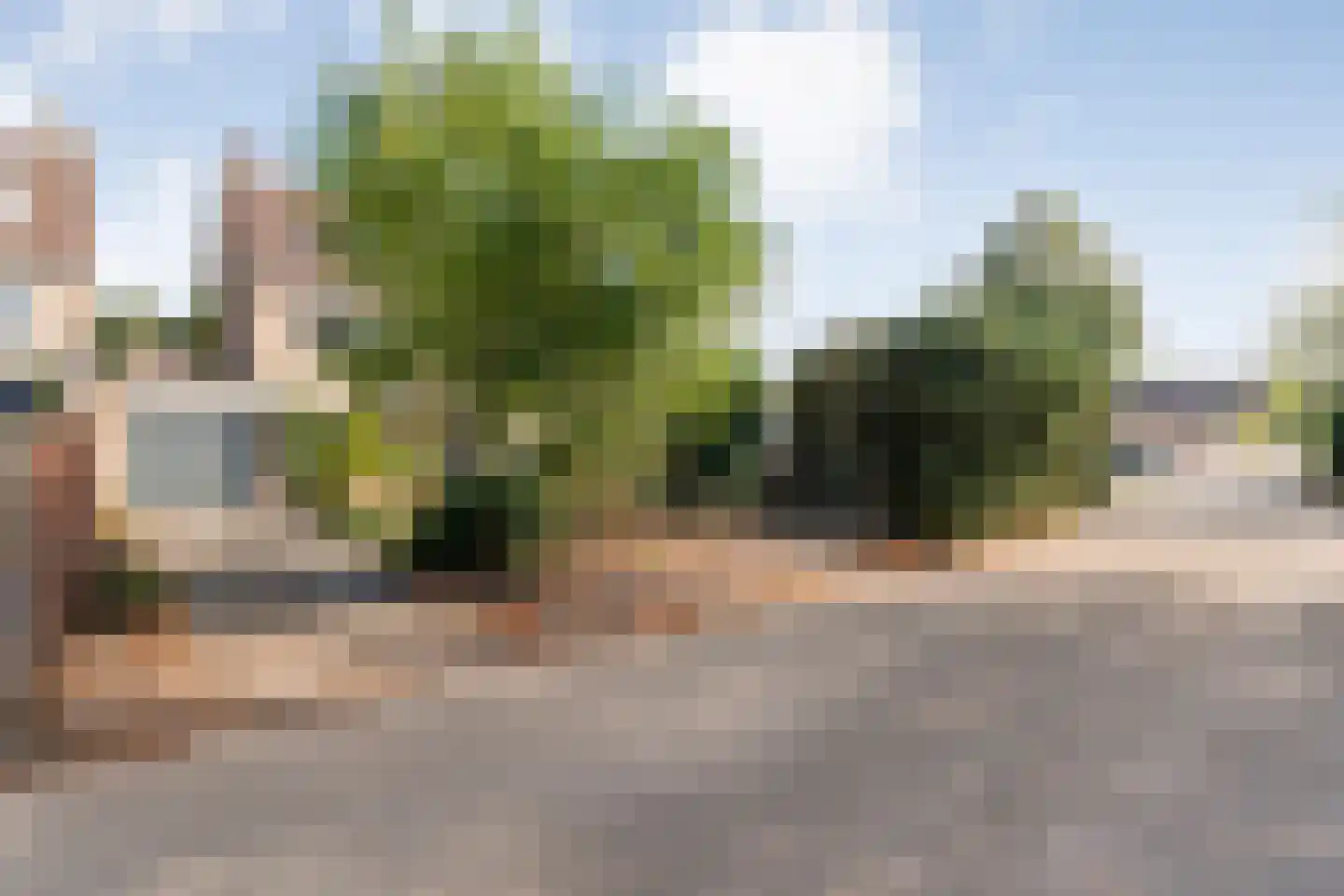 Bonte Kraai 21 Emmen thumbnail 23