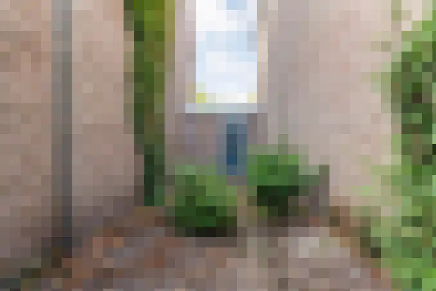 Bonte Kraai 21 Emmen thumbnail 25