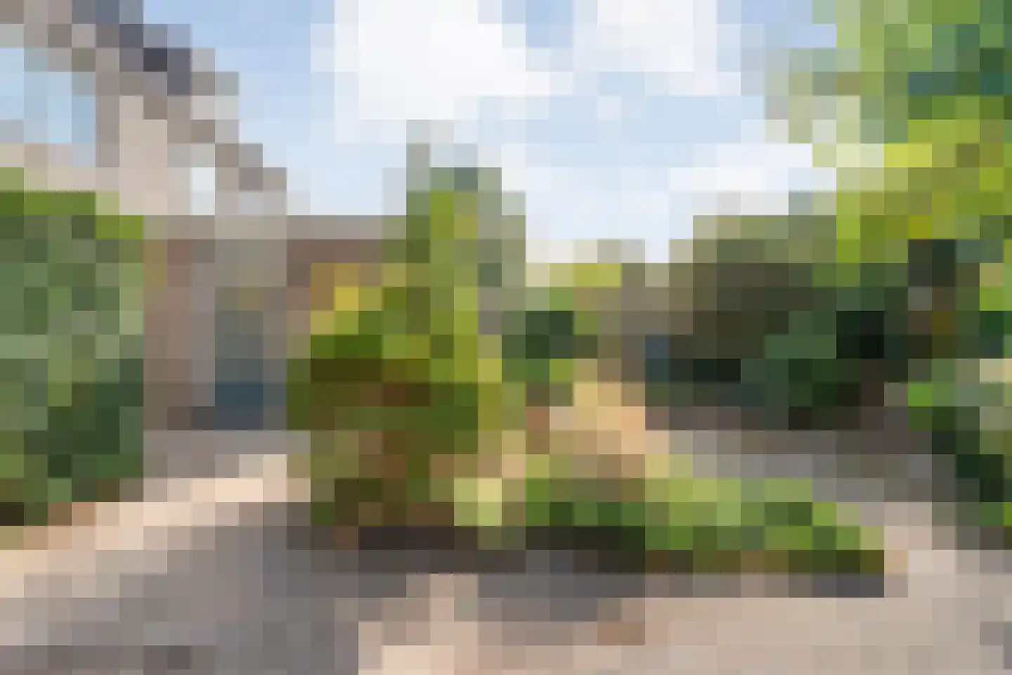 Bonte Kraai 21 Emmen thumbnail 4