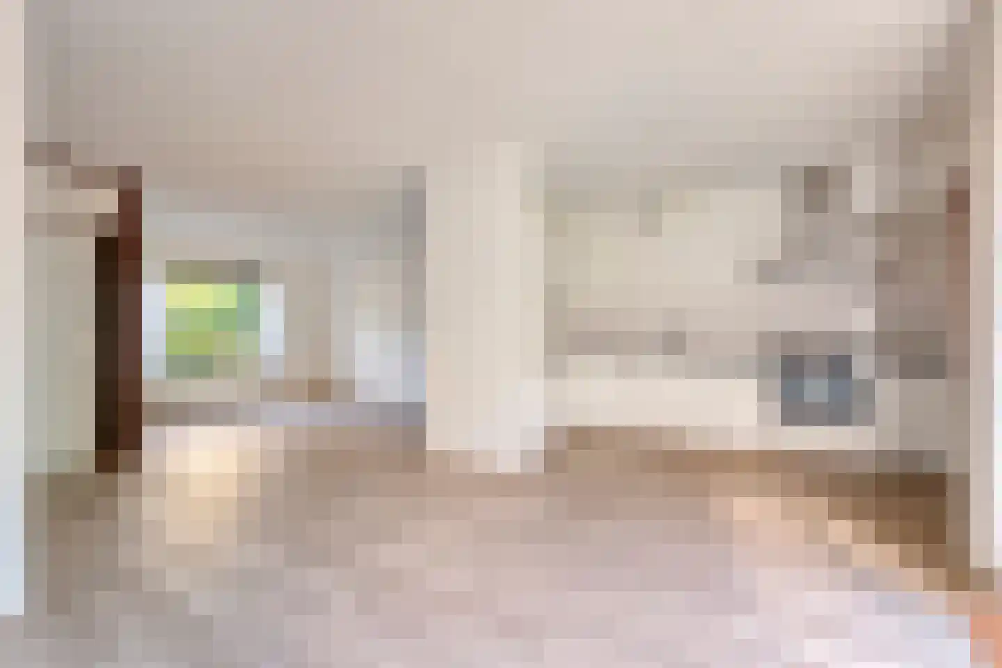 Bonte Kraai 21 Emmen thumbnail 9