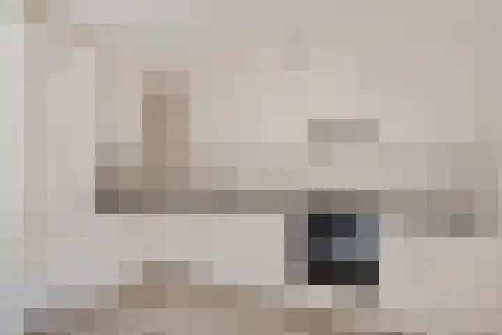 Bonte Kraai 25 Emmen thumbnail 10