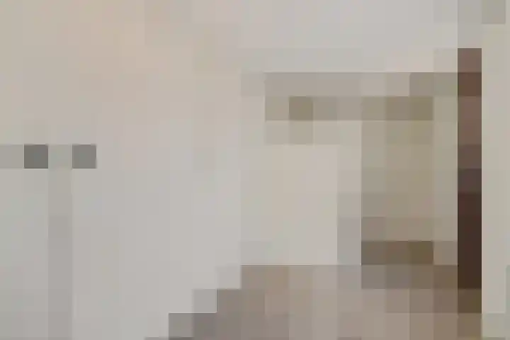Bonte Kraai 25 Emmen thumbnail 11