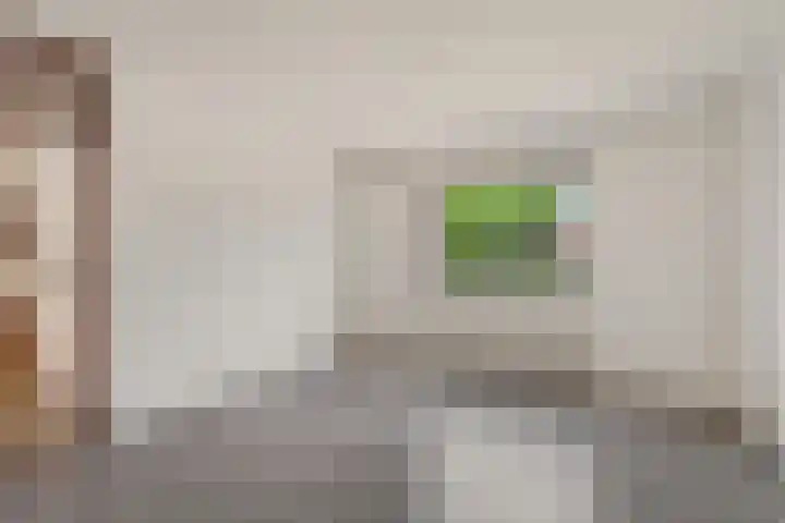 Bonte Kraai 25 Emmen thumbnail 12