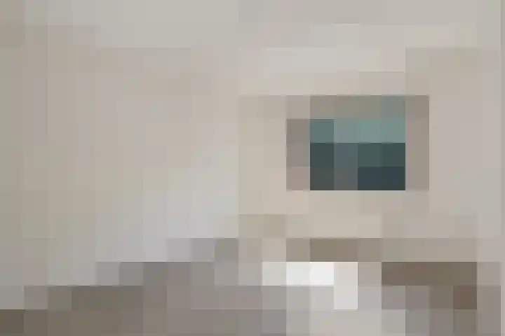 Bonte Kraai 25 Emmen thumbnail 13