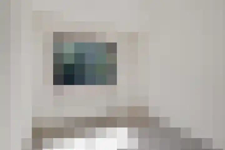 Bonte Kraai 25 Emmen thumbnail 14