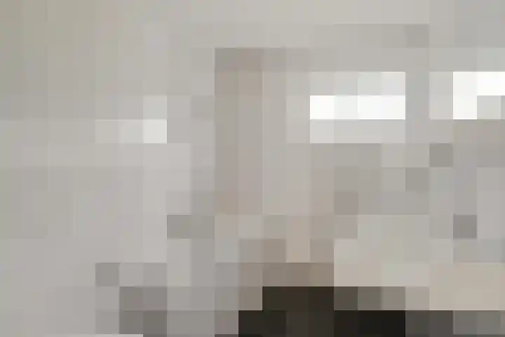Bonte Kraai 25 Emmen thumbnail 15