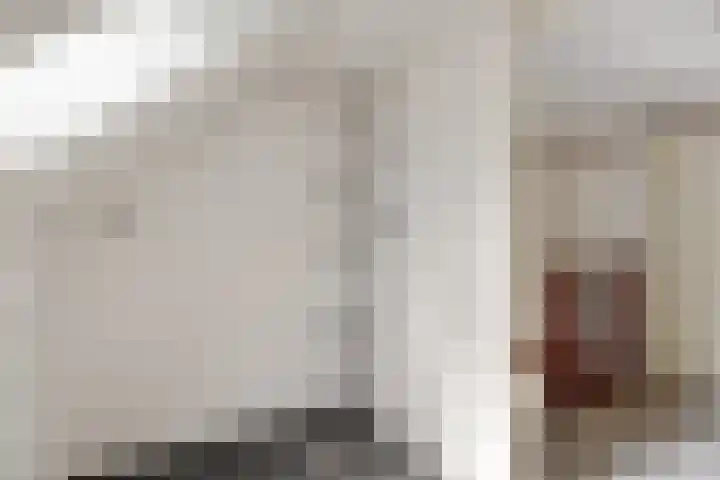 Bonte Kraai 25 Emmen thumbnail 17