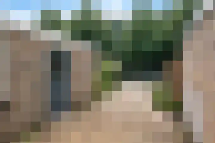 Bonte Kraai 25 Emmen thumbnail 18