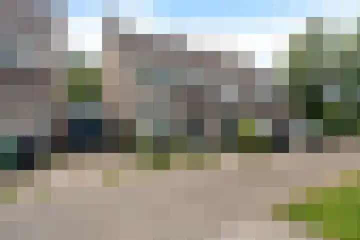 Bonte Kraai 25 Emmen foto 2