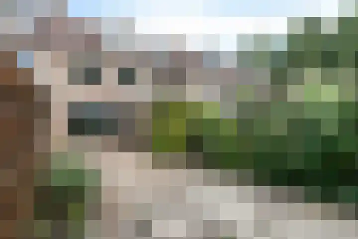 Bonte Kraai 25 Emmen thumbnail 20