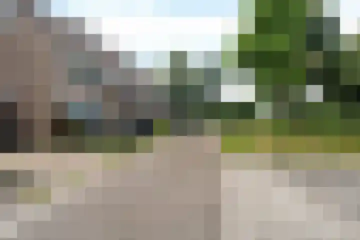 Bonte Kraai 25 Emmen foto 3