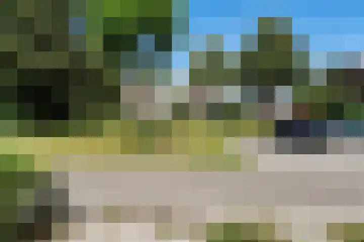 Bonte Kraai 25 Emmen thumbnail 4