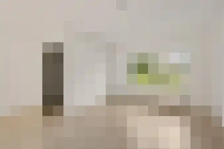 Bonte Kraai 25 Emmen thumbnail 6