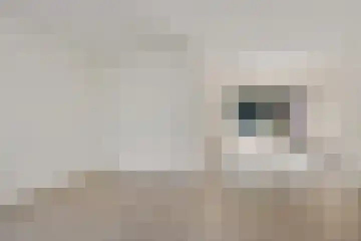 Bonte Kraai 25 Emmen thumbnail 7