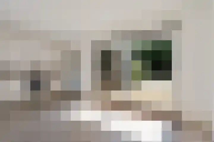 Bonte Kraai 25 Emmen thumbnail 8