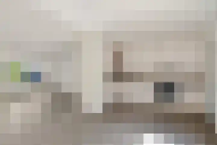 Bonte Kraai 25 Emmen thumbnail 9