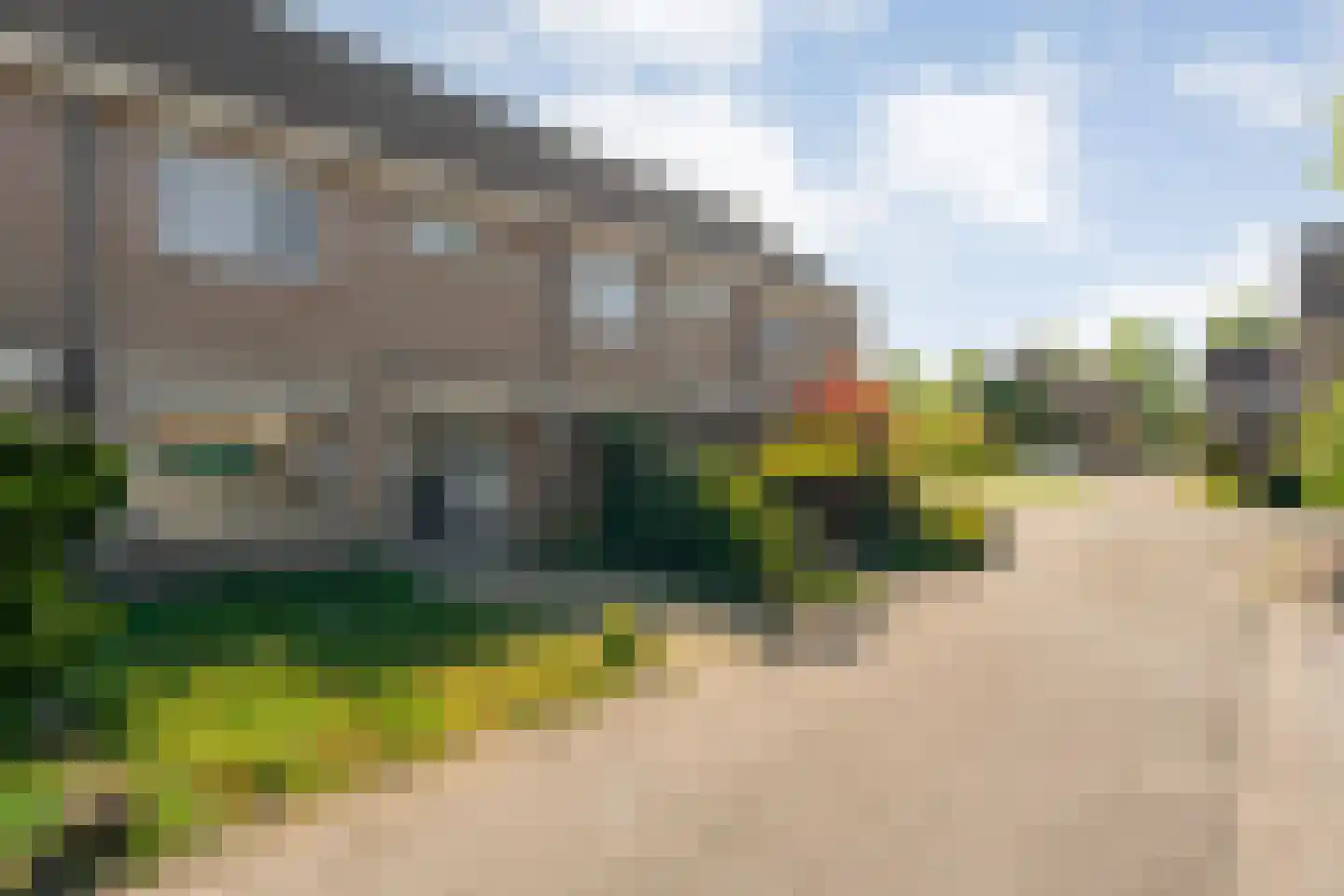 Bonte Kraai 3 Emmen