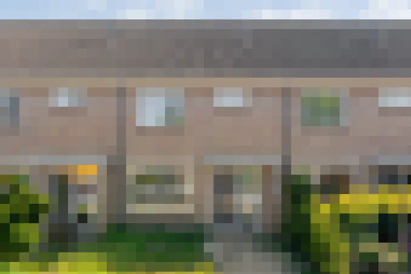 Bonte Kraai 3 Emmen