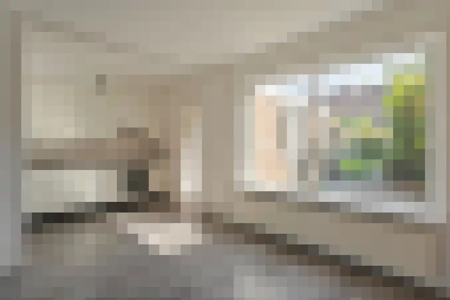 Bonte Kraai 3 Emmen thumbnail 11