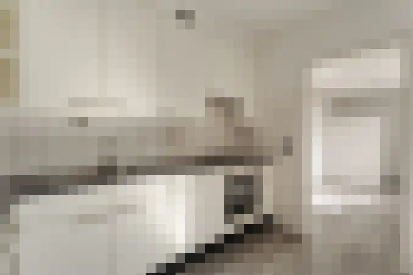 Bonte Kraai 3 Emmen thumbnail 13