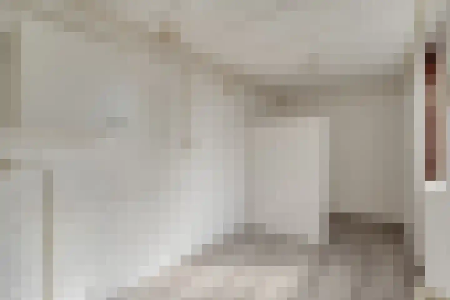 Bonte Kraai 3 Emmen thumbnail 15