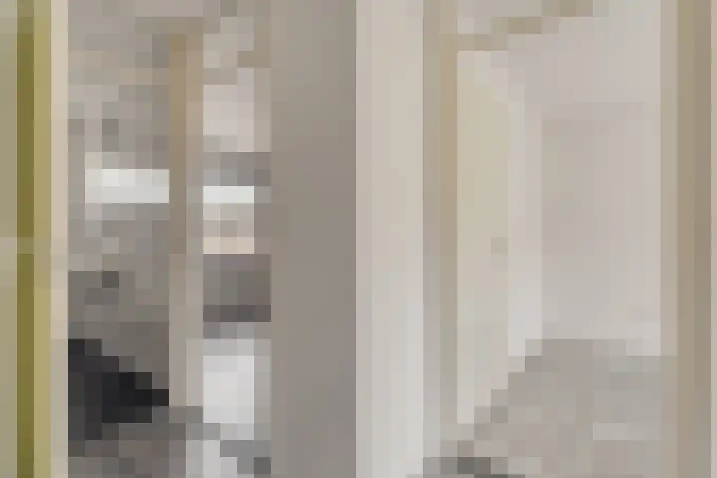 Bonte Kraai 3 Emmen thumbnail 17