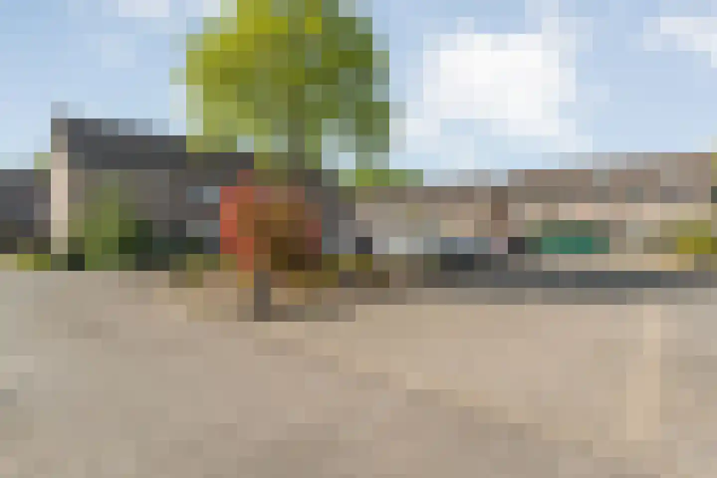 Bonte Kraai 3 Emmen foto 2
