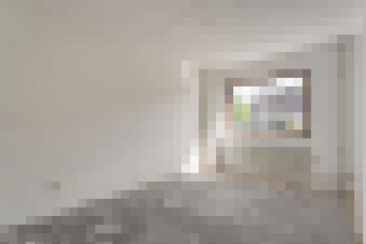 Bonte Kraai 3 Emmen thumbnail 20